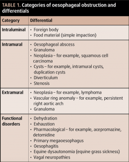 Table 1. Categories of oesophageal obstruction and differentials.