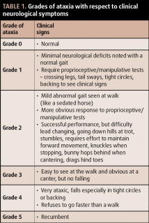 Table 1. Grades of ataxia with respect to clinical neurological symptoms.