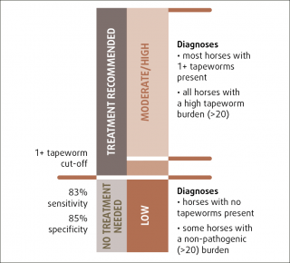 Figure 3. Schematic diagram of EquiSal Tapeworm diagnosis illustrating the accuracy of a 1+ tapeworm cut off, together with treatment recommendation.