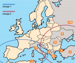 Figure 1. Map showing the distribution of west Nile disease lineage 1 and lineage 2 reported to the OIE in 2011. Numbers in orange boxes show the number of west Nile cases occurring in humans in the period 26 July and 24 November, 2011. Not shown on map: Israel [33]. (Source: World Organization for Animal Health, 2011; European Centre of Disease Prevention and Control).