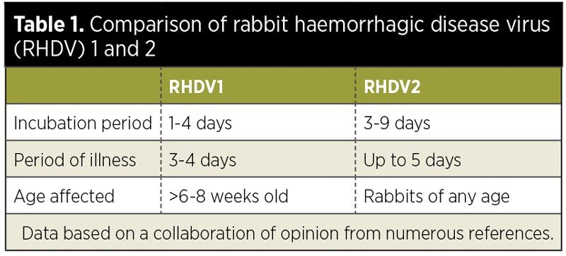 Comparison of rabbit haemorrhagic disease virus (RHDV) 1 and 2.