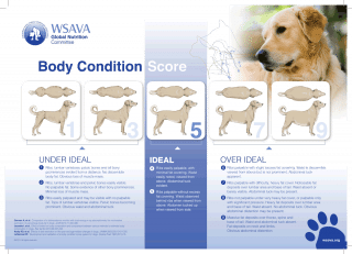 Figure 1. High-fibre diets are often recommended for overweight dogs, as shown in the WSAVA Global Nutrition Committee’s body condition chart. 