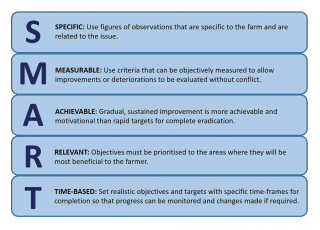Figure 3. The SMART approach to objectives and targets.