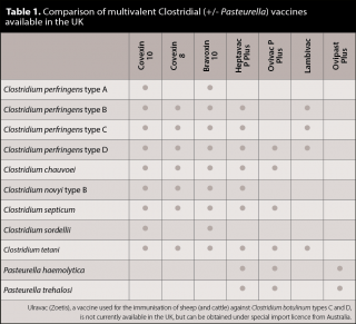 Table 1. Comparison of multivalent Clostridial (+/- Pasteurella) vaccines available in the UK.