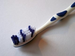 VNs should advise owners on the importance of brushing their pets' teeth.