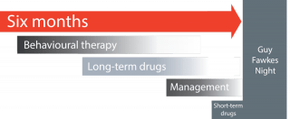 Figure 1. Some of the interventions and treatment options available in the lead-up to Guy Fawkes Night. As the event approaches, each option becomes more constrained.