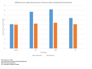 Figure 2. Difference in pleural pressure 24 hours after clenbuterol treatment.