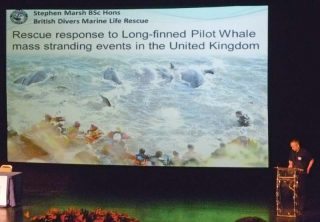 Stephen Marsh presenting on live pilot whale strandings in the UK.