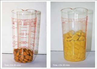 Figure 3. Most common commercial foods will absorb between 3ml/g to 4ml/g of an isotonic fluid, resulting in a trebling of volume over a period of four to five hours.
