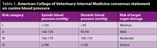 Table 1. American College of Veterinary Internal Medicine consensus statement on canine blood pressure.