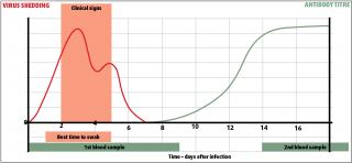 Figure 1. The temporal associations between virus shedding, seroconversion and sampling times following equine influenza infection.