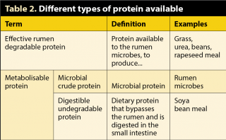 Table 2. Different types of protein available.