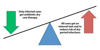 Figure 1. Selective dry cow therapy leads to a reduction in antibiotic use and a rise in use of internal teat sealants.
