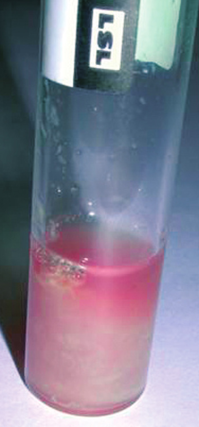 INVESTIGATION OF JOINT DISEASE Vet Times