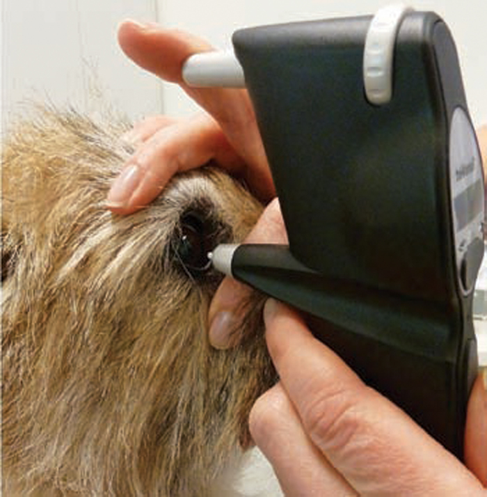 CANINE PRIMARY Vet Times