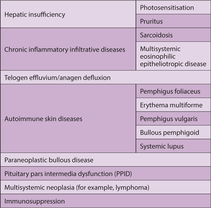 SKIN DISEASE IN HORSES A PRACTICAL CLINICAL APPROACH Vet Times