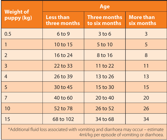 UNDERSTANDING AND DEALING WITH DIARRHOEA IN PUPPIES Vet Times