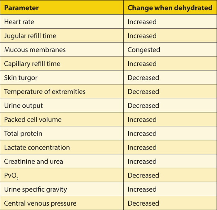 OPTIMISING FLUID THERAPY EFFECTIVENESS IN HORSES Vet Times