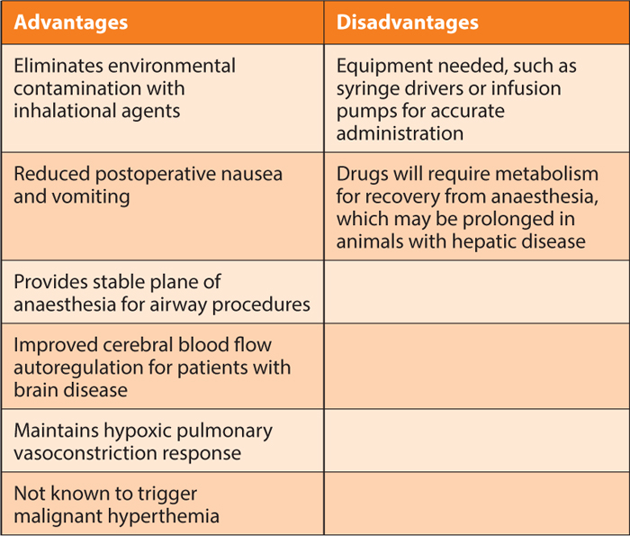Benefits of total intravenous anaesthesia in dogs and cats Vet Times