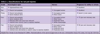 Table 1. Classifications for tail pull injuries.