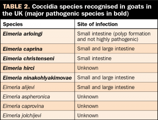 Table 2. Coccidia species recognised in goats in the UK (major pathogenic species in bold).