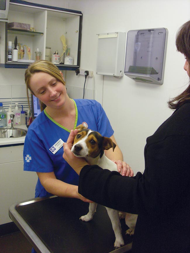 Figure 1. Qualified veterinary nurses are ideally suited to manage the diabetic clinic in general practice.