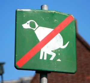 Dog sign