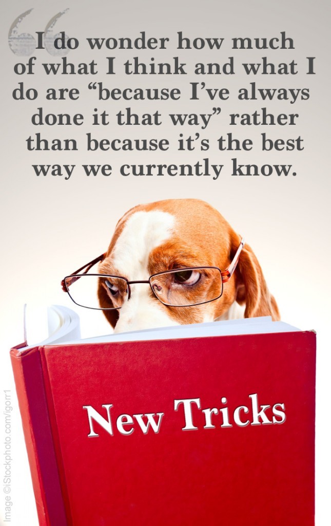 new-tricks-quote