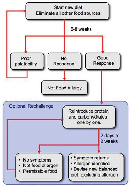 Flow diagram of protocol of elimination diets. 