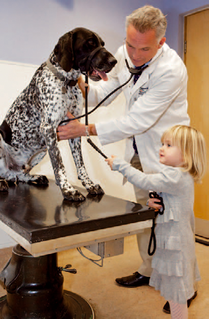 Healthy pets can lead to healthier practice profits Vet Times
