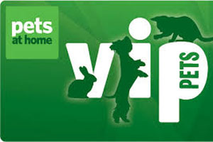 pet print ornament kit