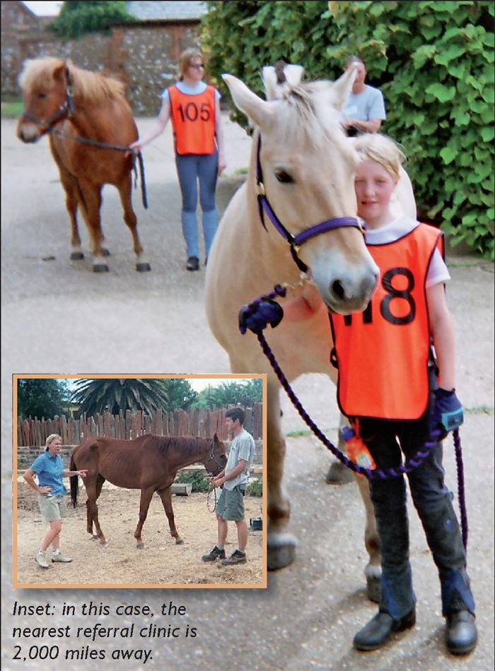 Field treatment versus referral in equine degenerative joint disease