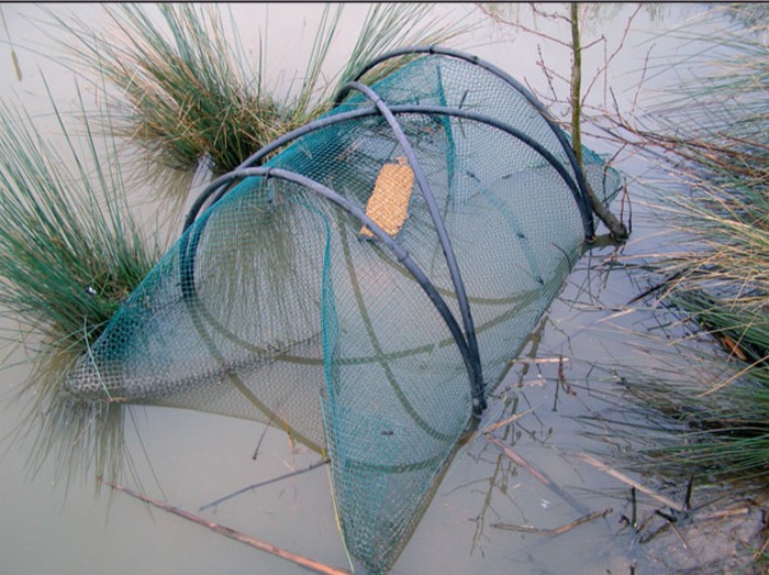 AVIAN INFLUENZA SURVEILLANCE CAPTURE AND SAMPLING METHODS Vet Times