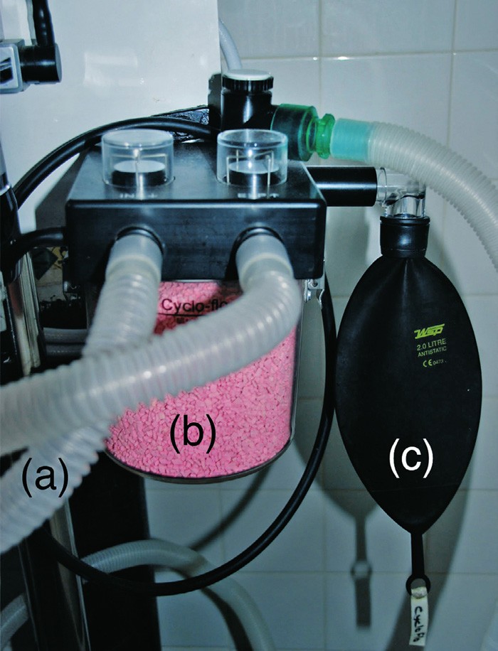 UTILISING REBREATHING CIRCLES Vet Times