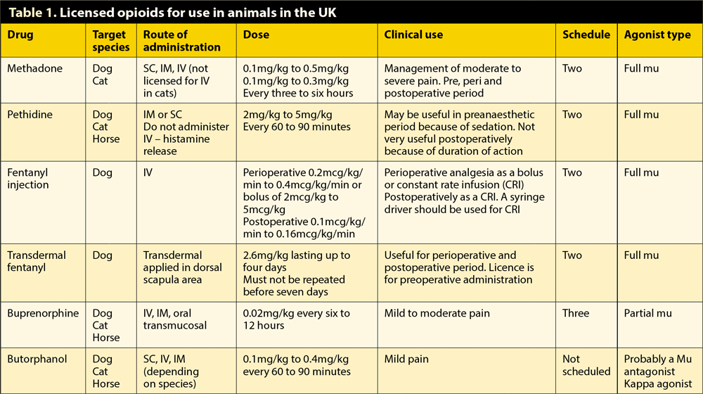 Licensed opioids for use in animals in the UK