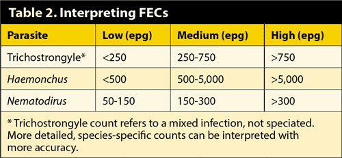 Interpreting FECs