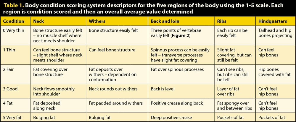 Table 1. Body condition scoring system descriptors for the five regions of the body using the 1-5 scale. Each region is condition scored and then an overall average value determined.