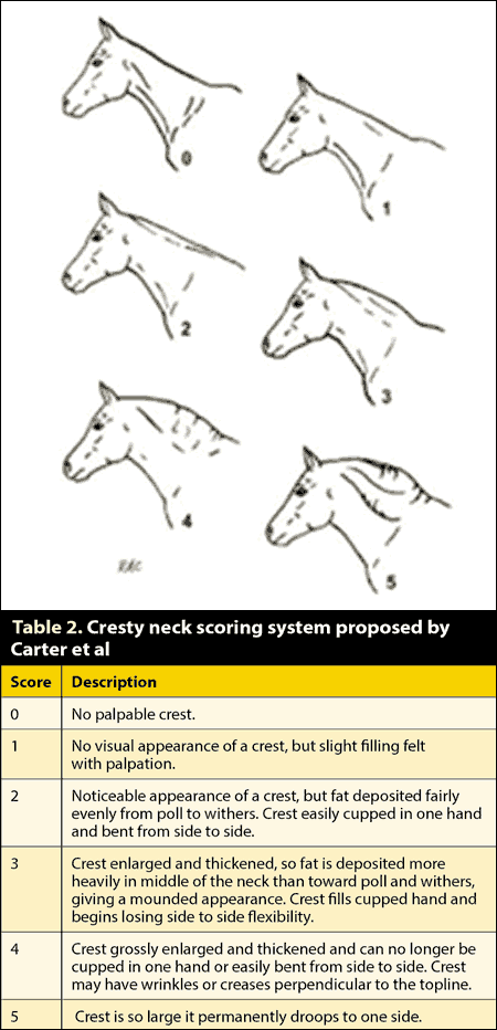 Table 2. Cresty neck scoring system proposed by Carter et al.