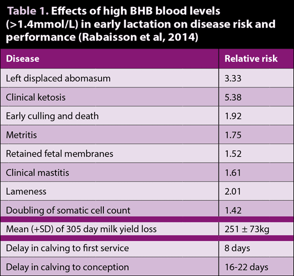Table 1. Effects of high BHB blood levels (>1.4mmol/L) in early lactation on disease risk and performance (Rabaisson et al, 2014)