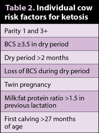 Table 2. Individual cow risk factors for ketosis