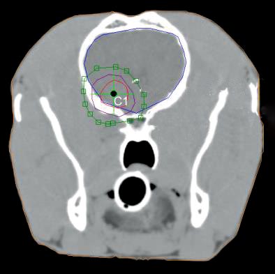 Figure 2. GTV, CTV and PTV drawn on the CT image of the dog’s head. 
