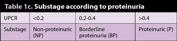 Table 1c. Substage according to proteinuria.