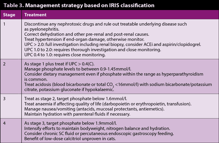 Table 3. Management strategy based on IRIS classification.