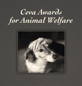 Final call for animal welfare award nominations | Vet Times Final call for animal welfare award nominations | Vet Times