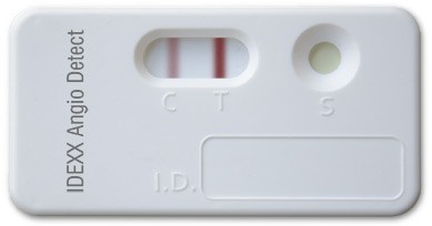 How Do You Test For Lungworm In Dogs