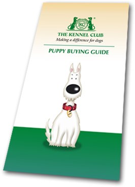 Free puppy buying guide app from The Kennel Club | Vet Times