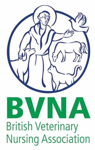 BVNA logo
