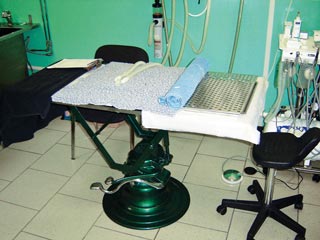 Figure 2. An adjustable operating table, which can tilt, and something to collect the water are required. You can see the dental machine is close to where the operator will sit.