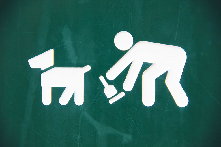 Figure 1. With outdoor areas, such as parks, carrying potentially high burdens of roundworm contamination – the most common type of intestinal worms affecting dogs – owners should dispose of faeces immediately in designated bins.