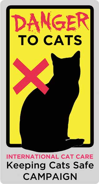 VNT1508-Taylor-Keeping-Cats-Safe-campaign-logo